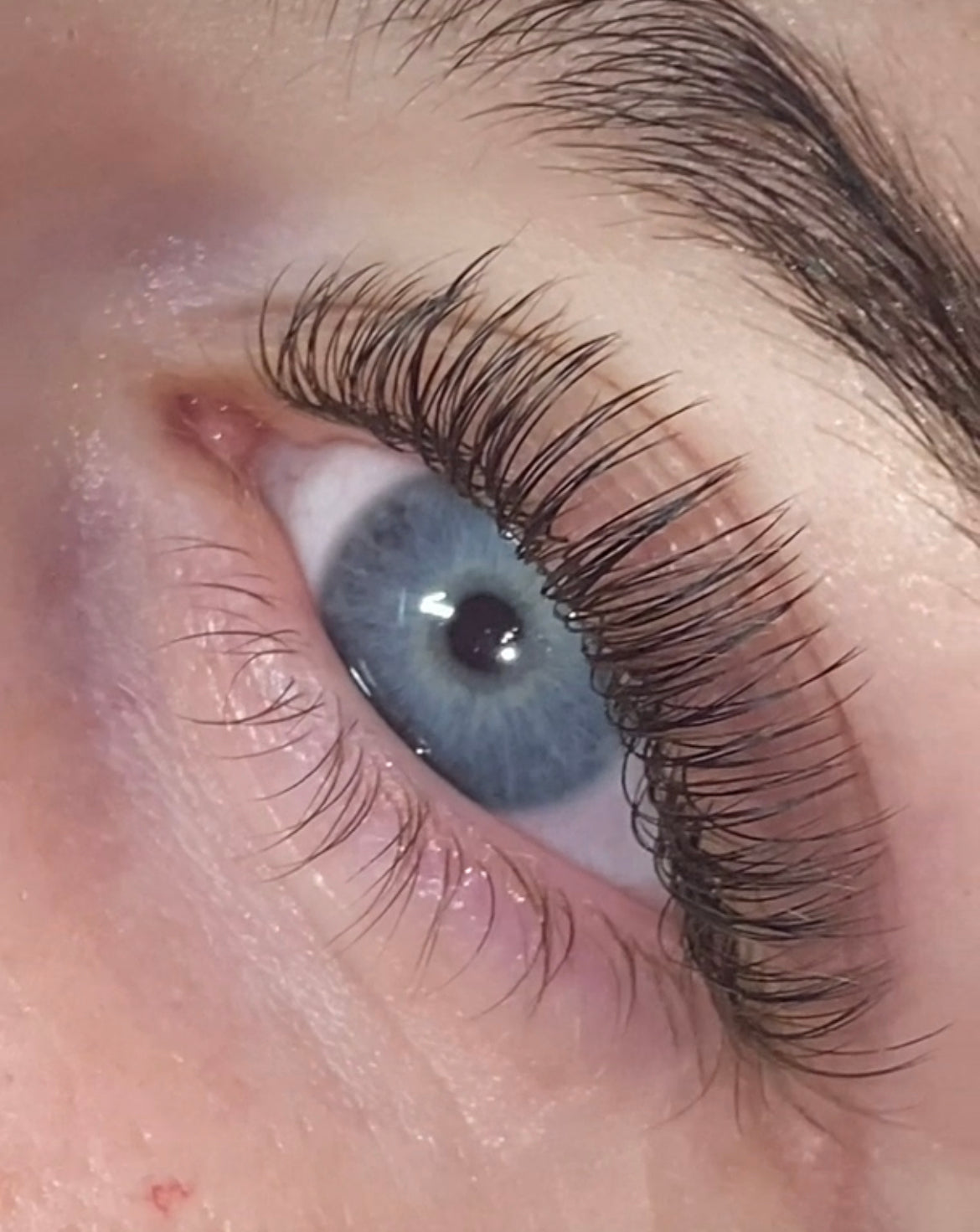 Flat lashes - Paisleys Beauty Room