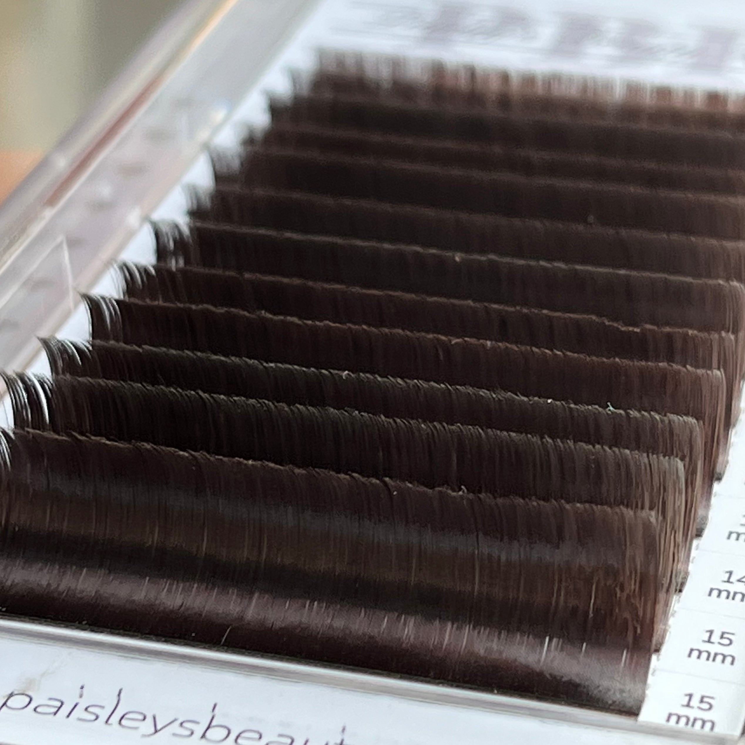 Brown regular fanning lashes - Paisleys Beauty Room