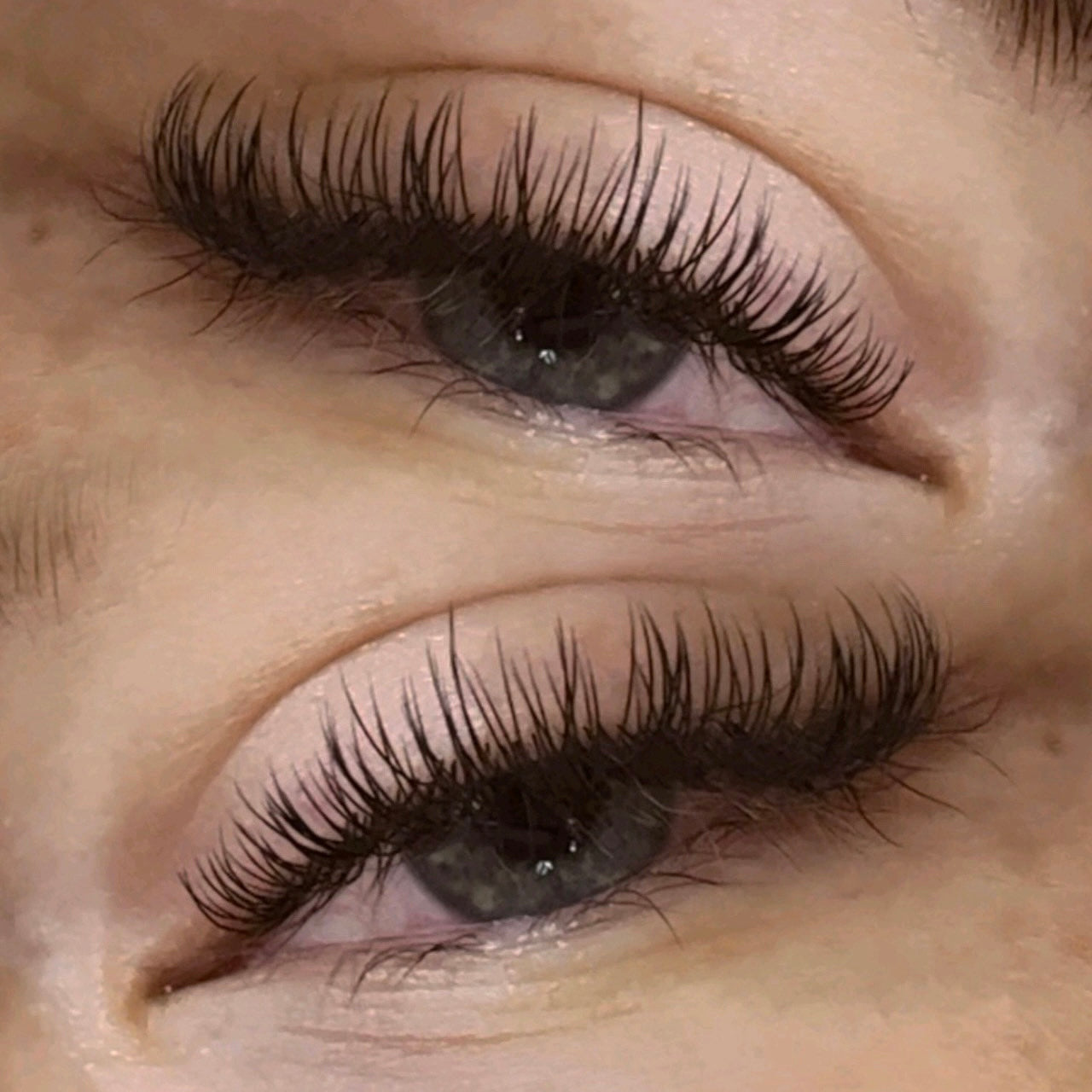 Flat lashes - Paisleys Beauty Room