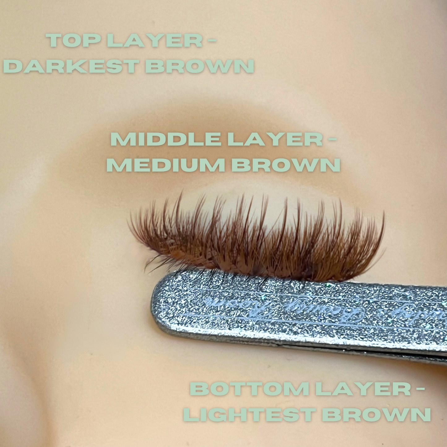 PBR coloured 0.05  curl regular fanning lash extensions - 21 rows - Paisleys Beauty Room